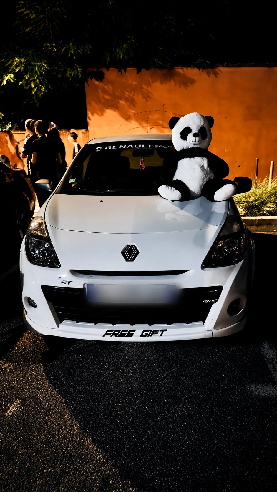 Renault Clio 3 GT blanche photographiée de face de nuit avec un panda sur le capot