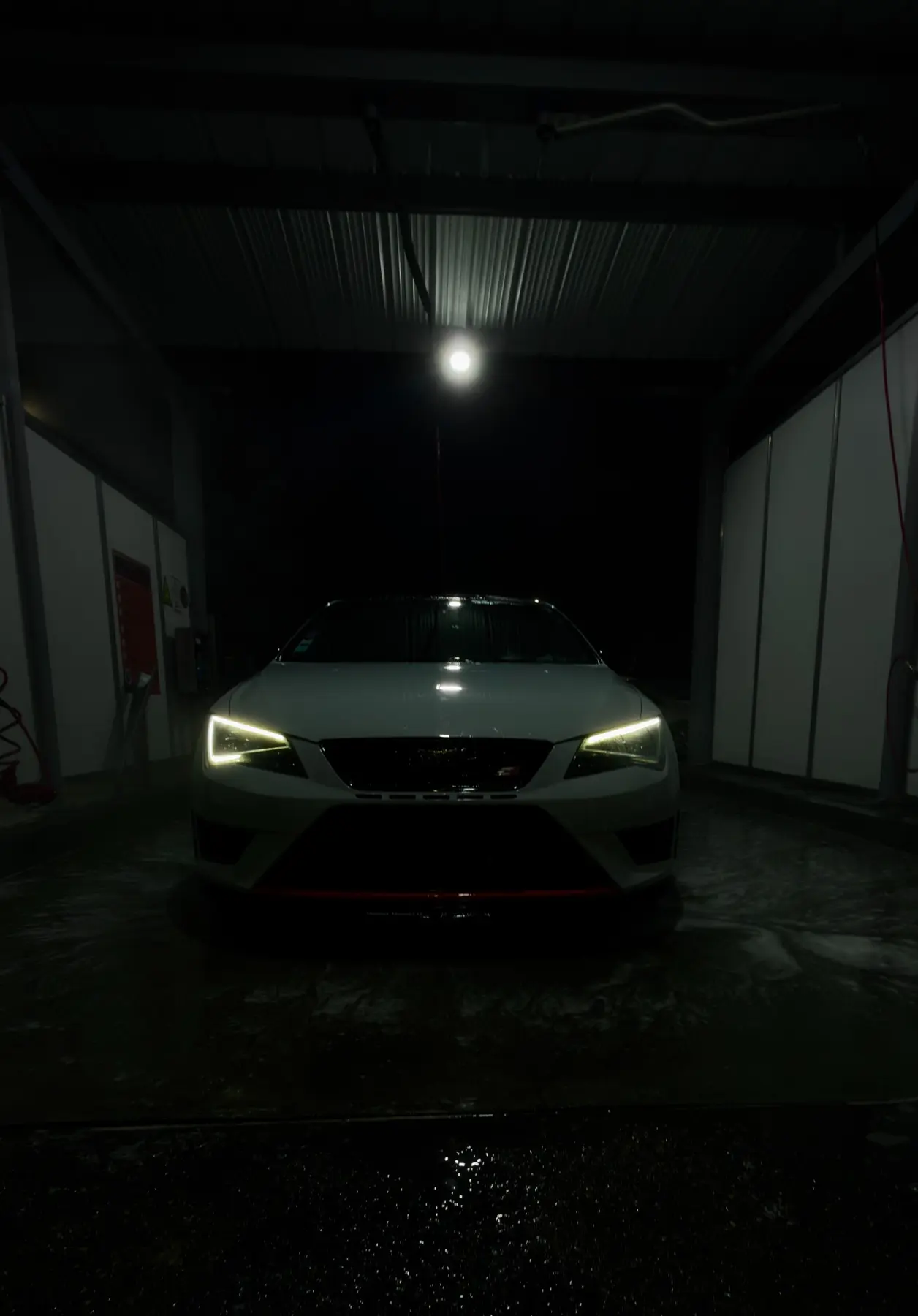 Cupra photographiée de nuit