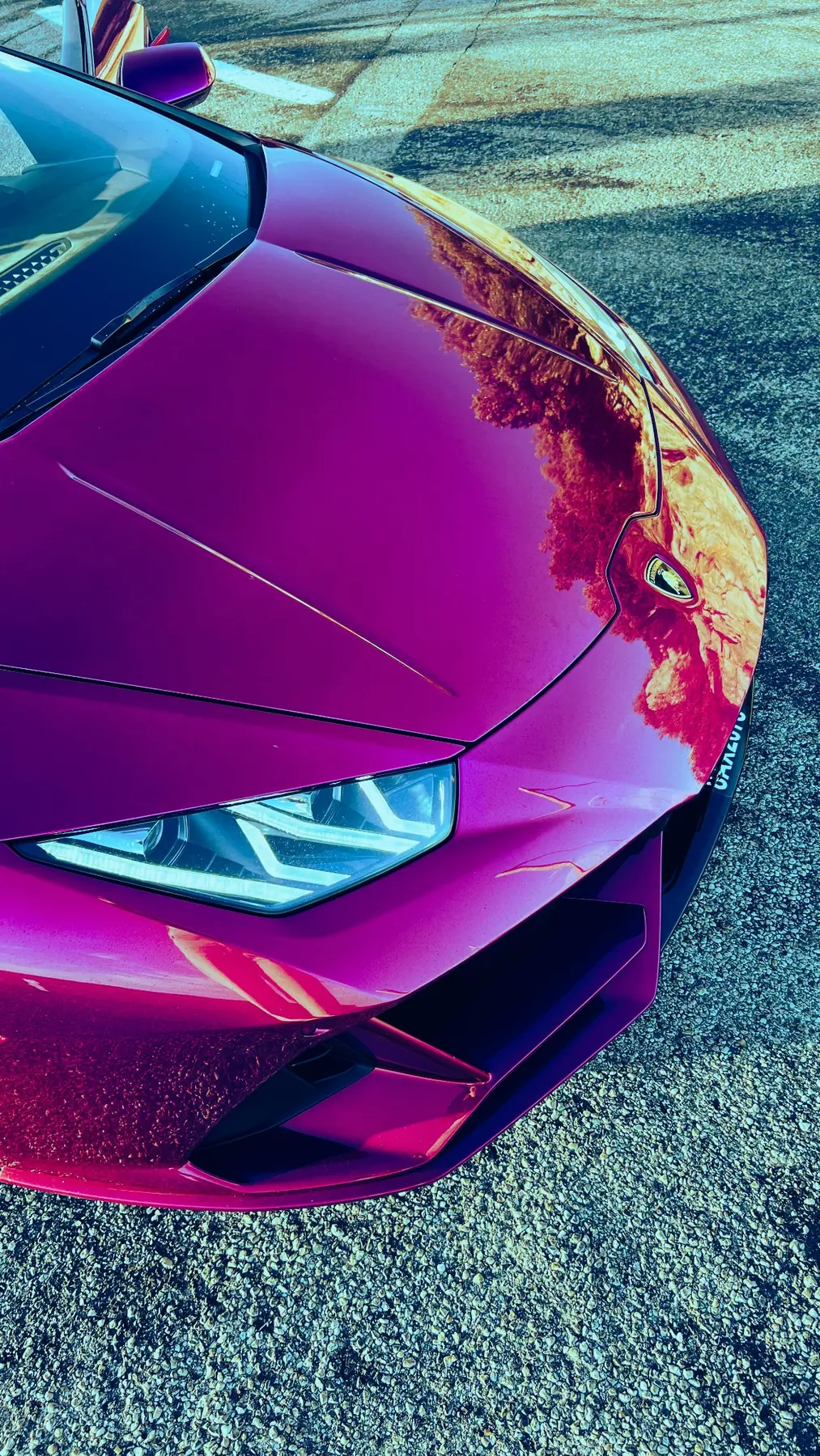 Lamborghini verte
