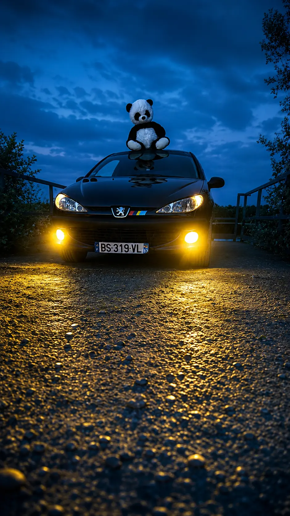 Peugeot 206 bleue photographiée de nuit avec un panda sur le toit